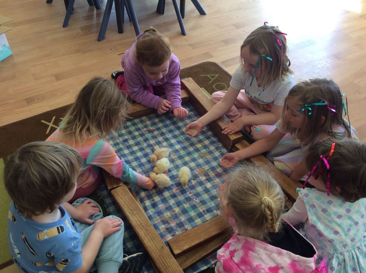Children Engaging with Chicks in Playful Learning Environment — Lilly Pilly Early Learning Centre