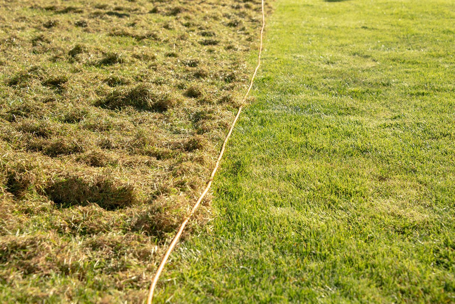 A picture of a lawn before and after being mowed.