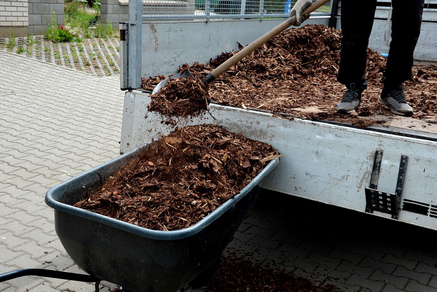 A person is loading mulch into a wheelbarrow