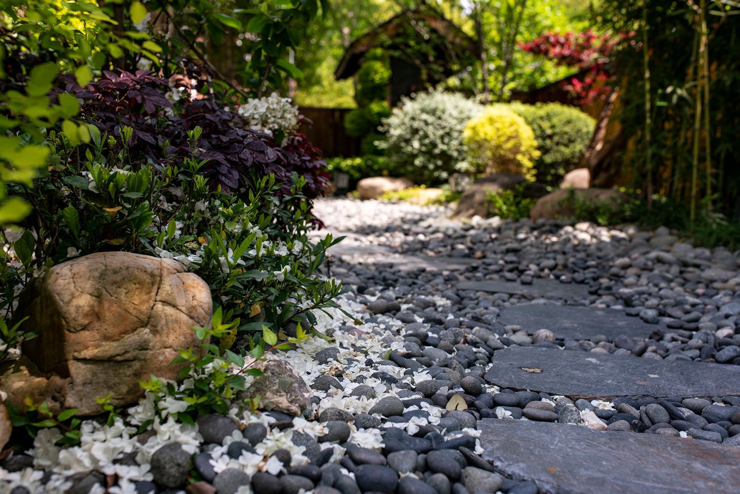 A stone path in a garden surrounded by rocks and plants.