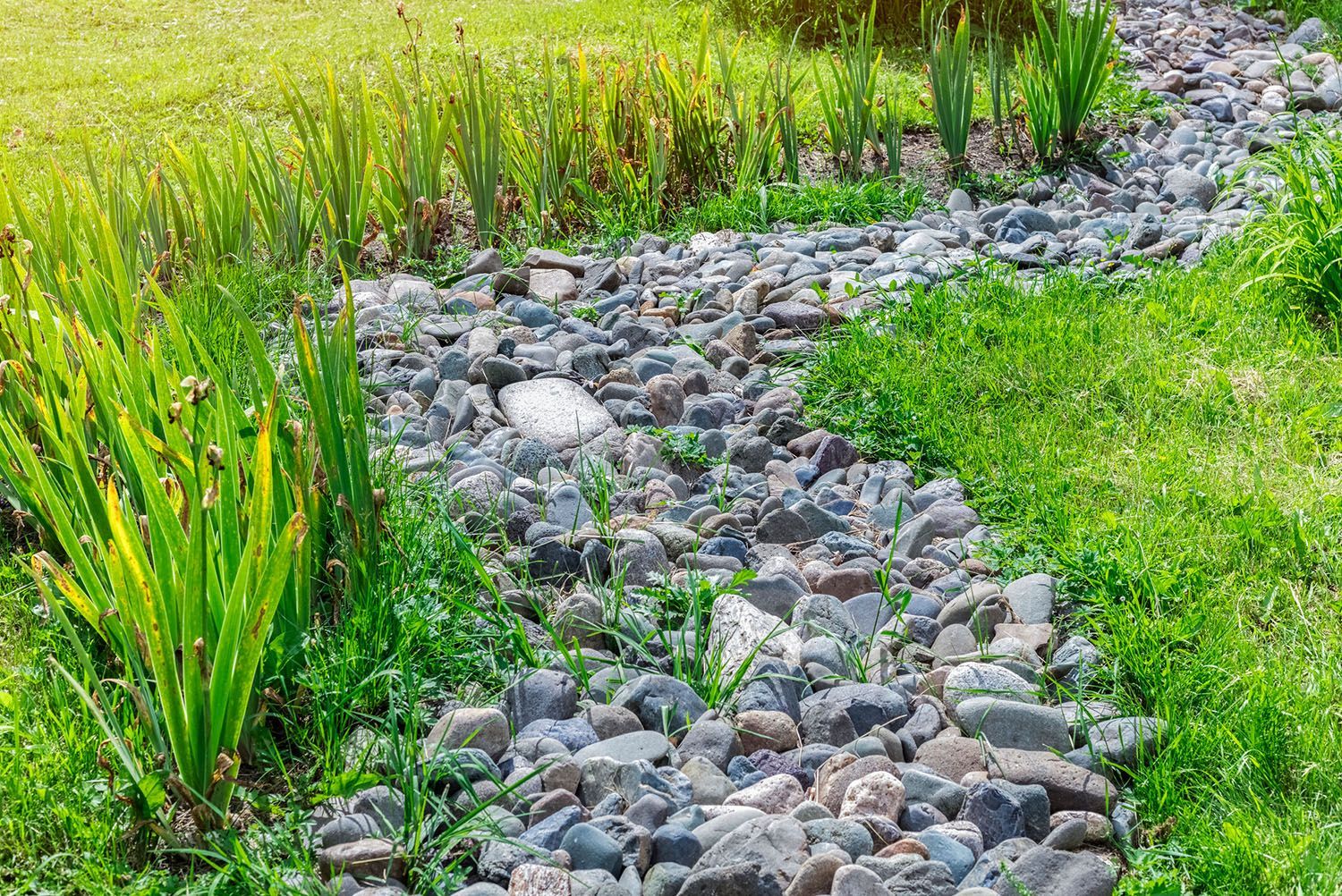 A stream of rocks runs through a lush green field.