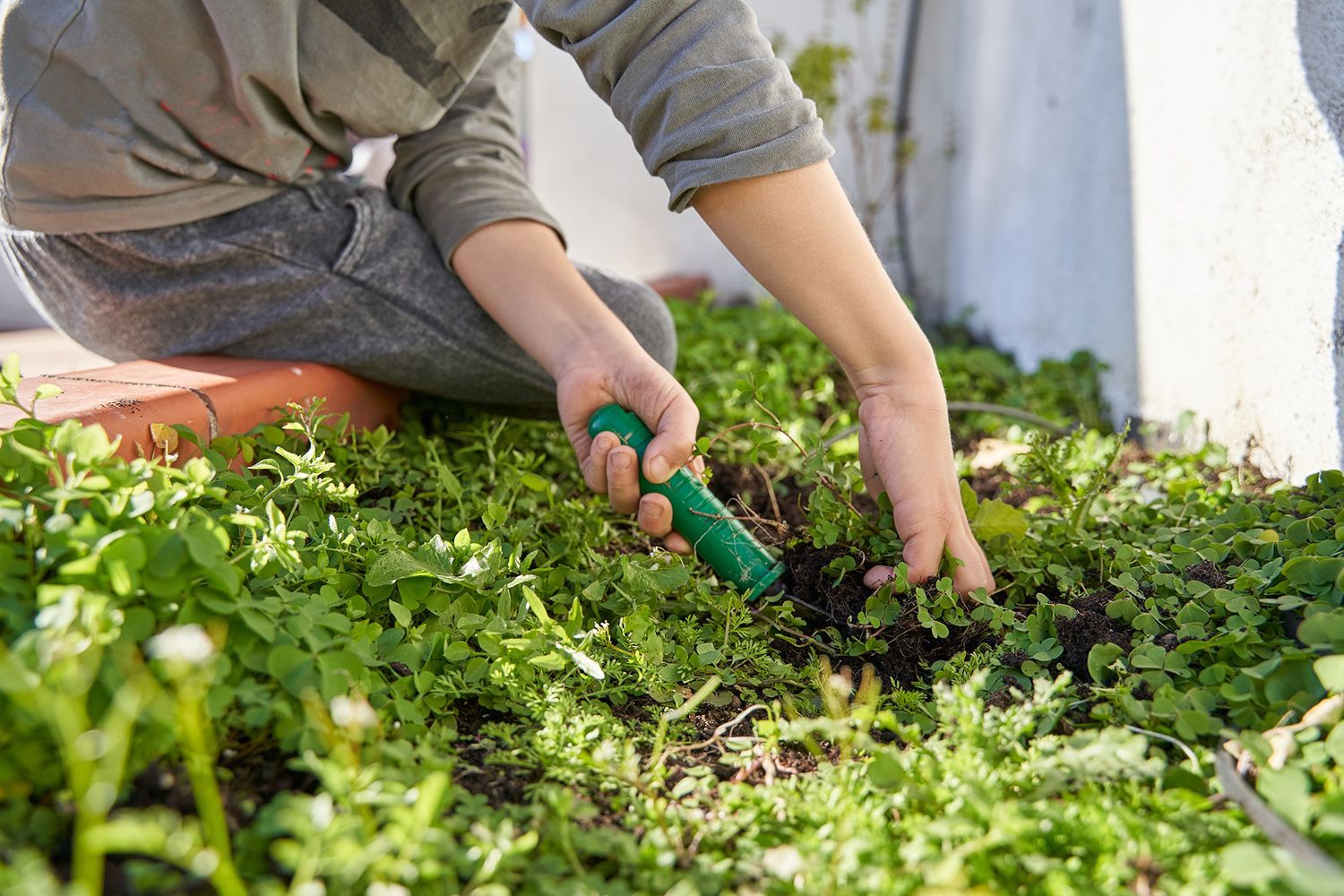 A person is kneeling down in the grass holding a green hose.