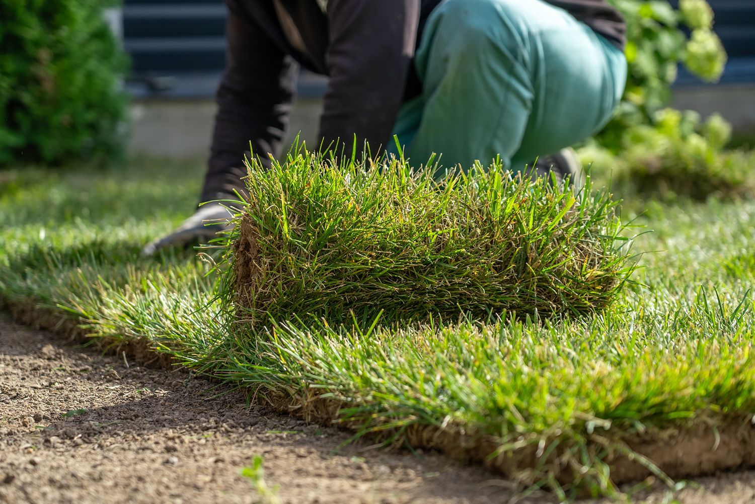 A person is laying a roll of grass on the ground.