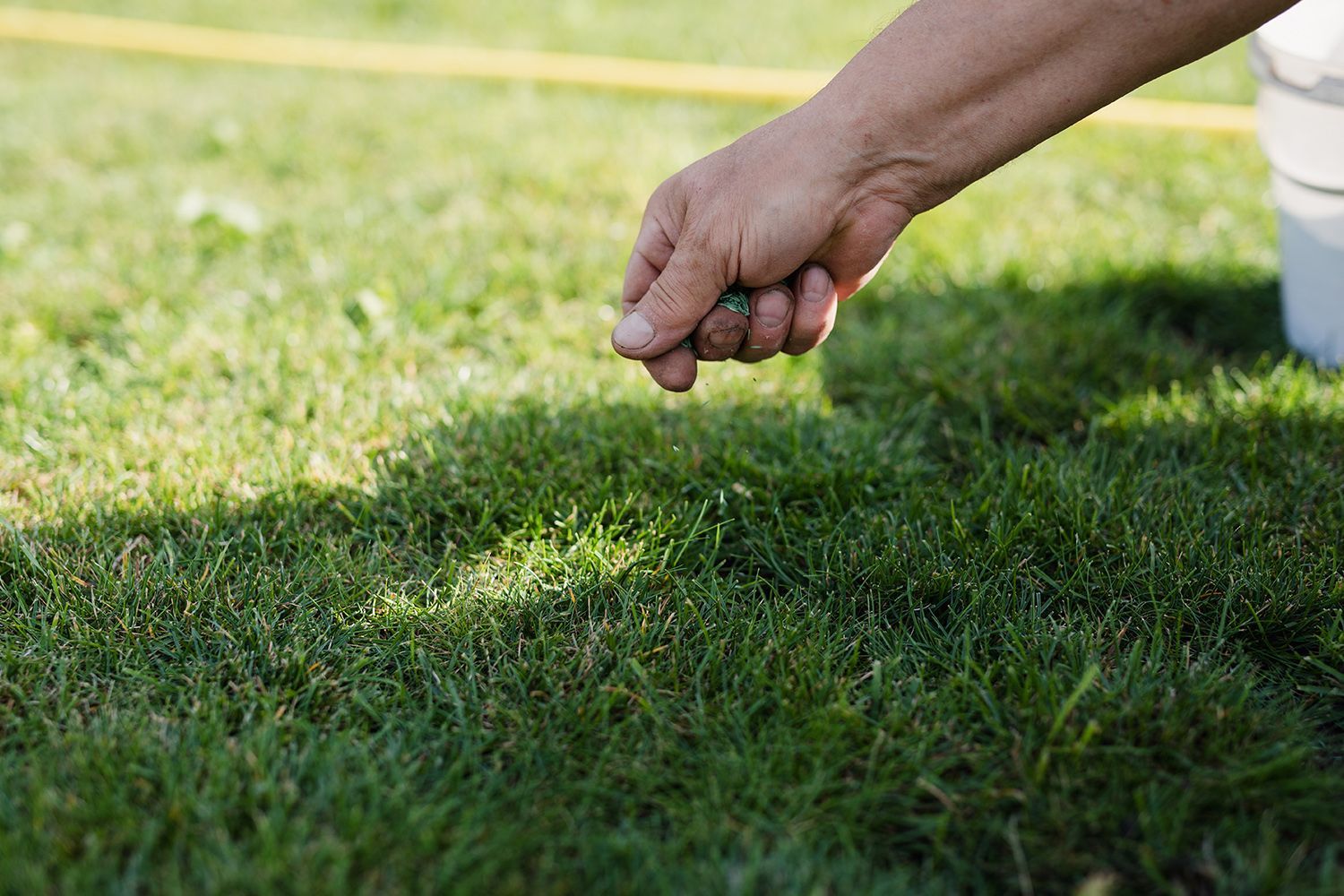 A person is holding a rock in their hand on top of a lush green lawn.