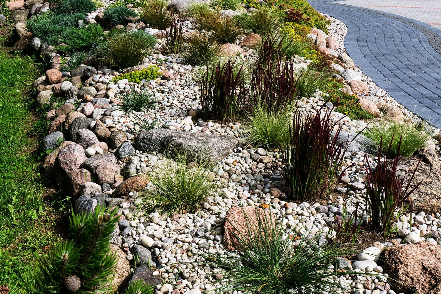 A garden filled with rocks and plants next to a driveway.