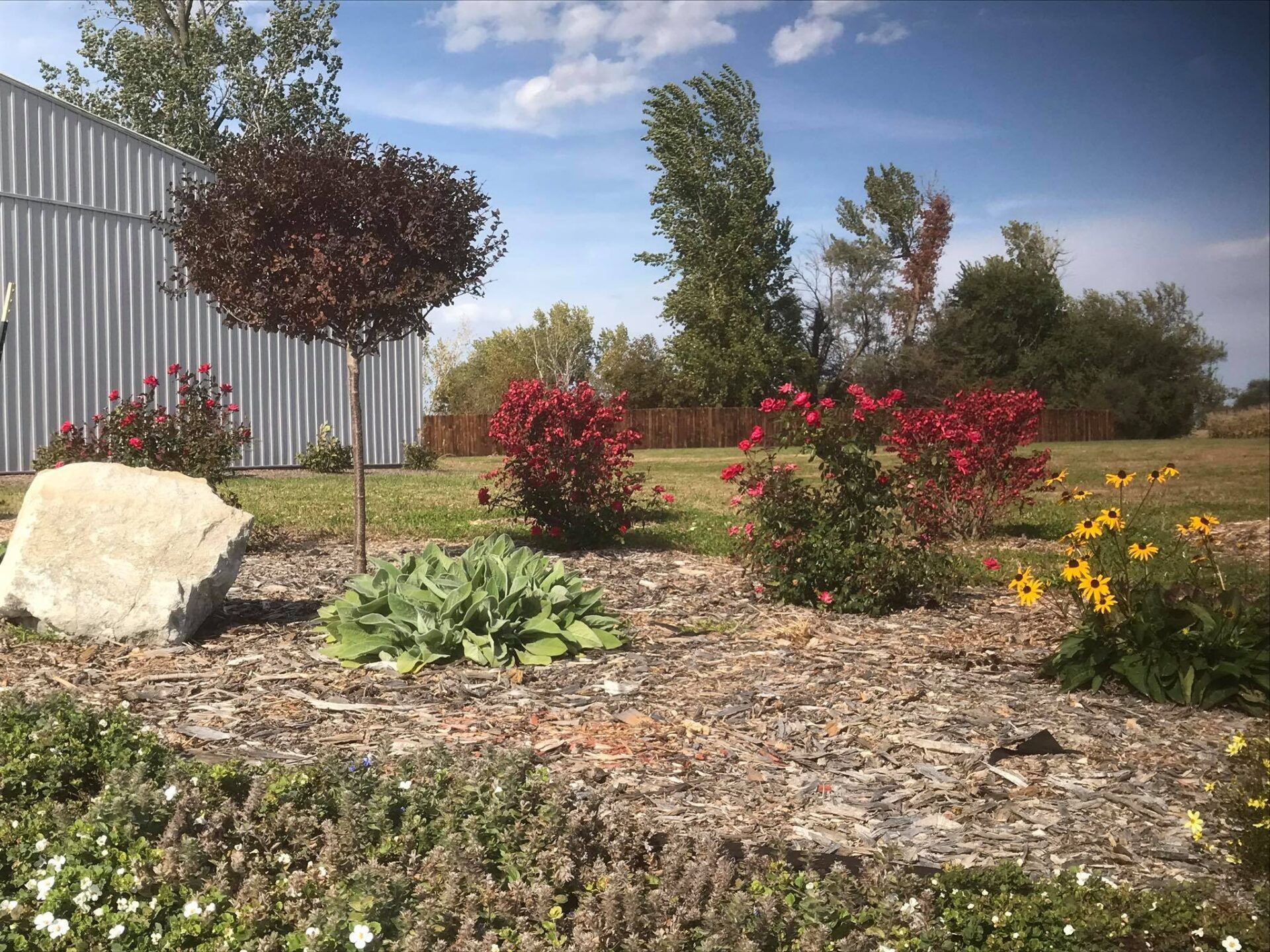 A garden with flowers and rocks in front of a building