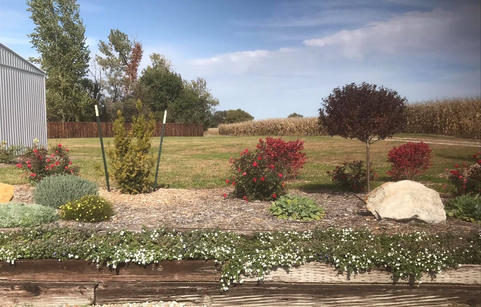 A view of a garden with a greenhouse in the background and a field in the background.