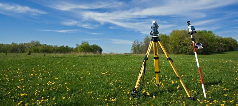 Surveying equipment in the middle of a field dotted with buttercups and surrounded by trees