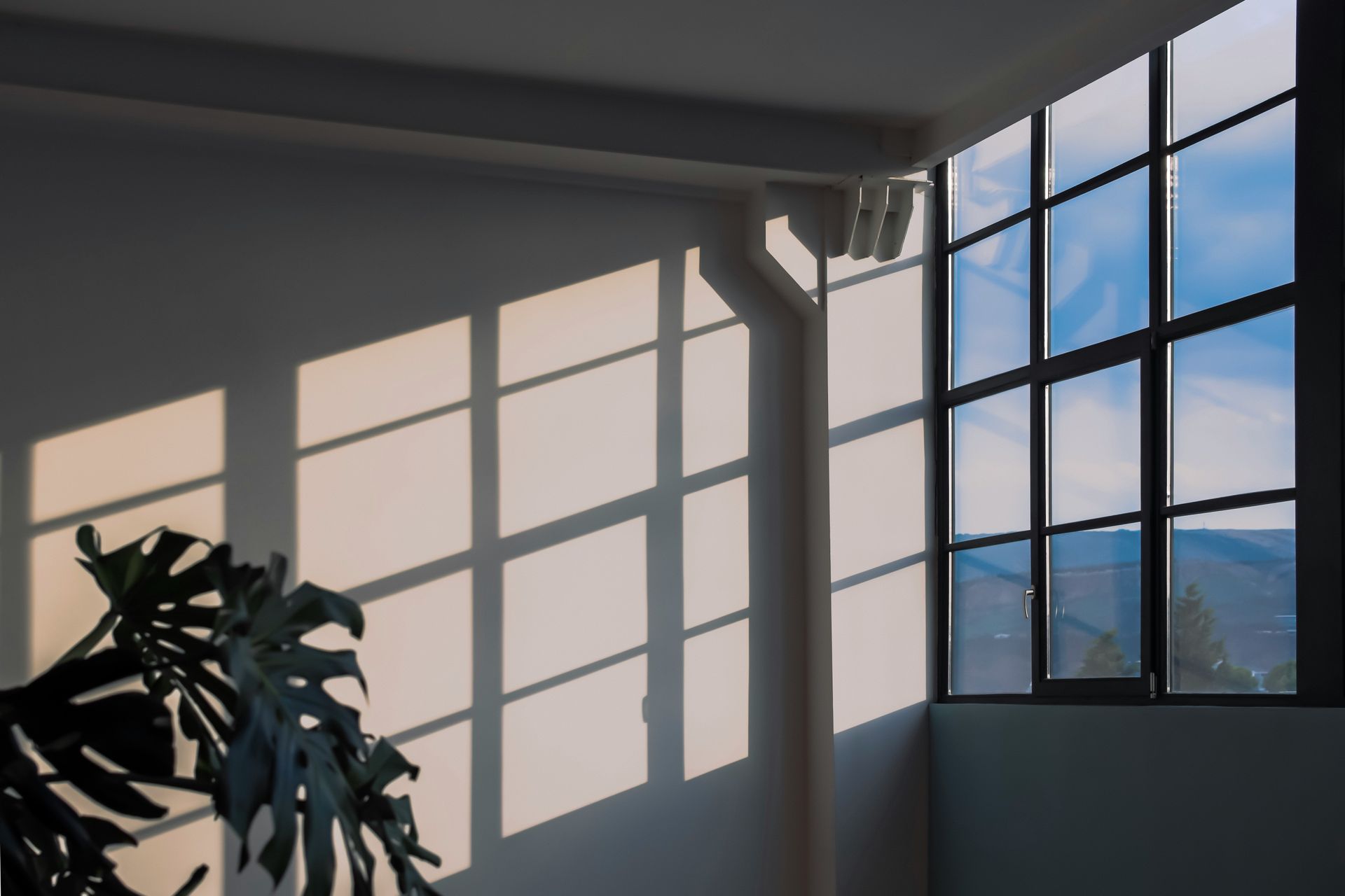 A room with a large window and a plant in front of it.