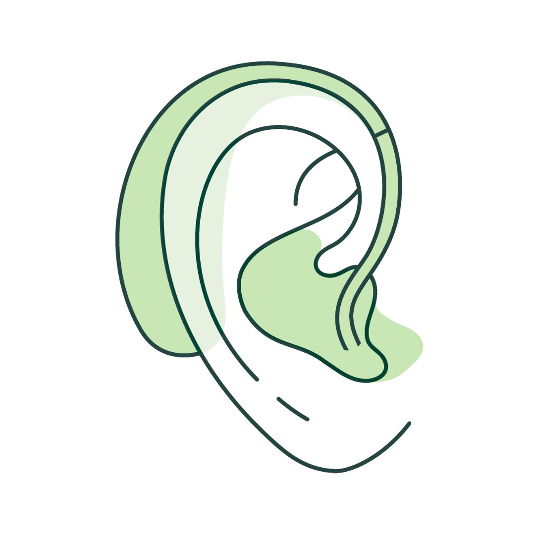 A drawing of a person 's ear with a hearing aid.