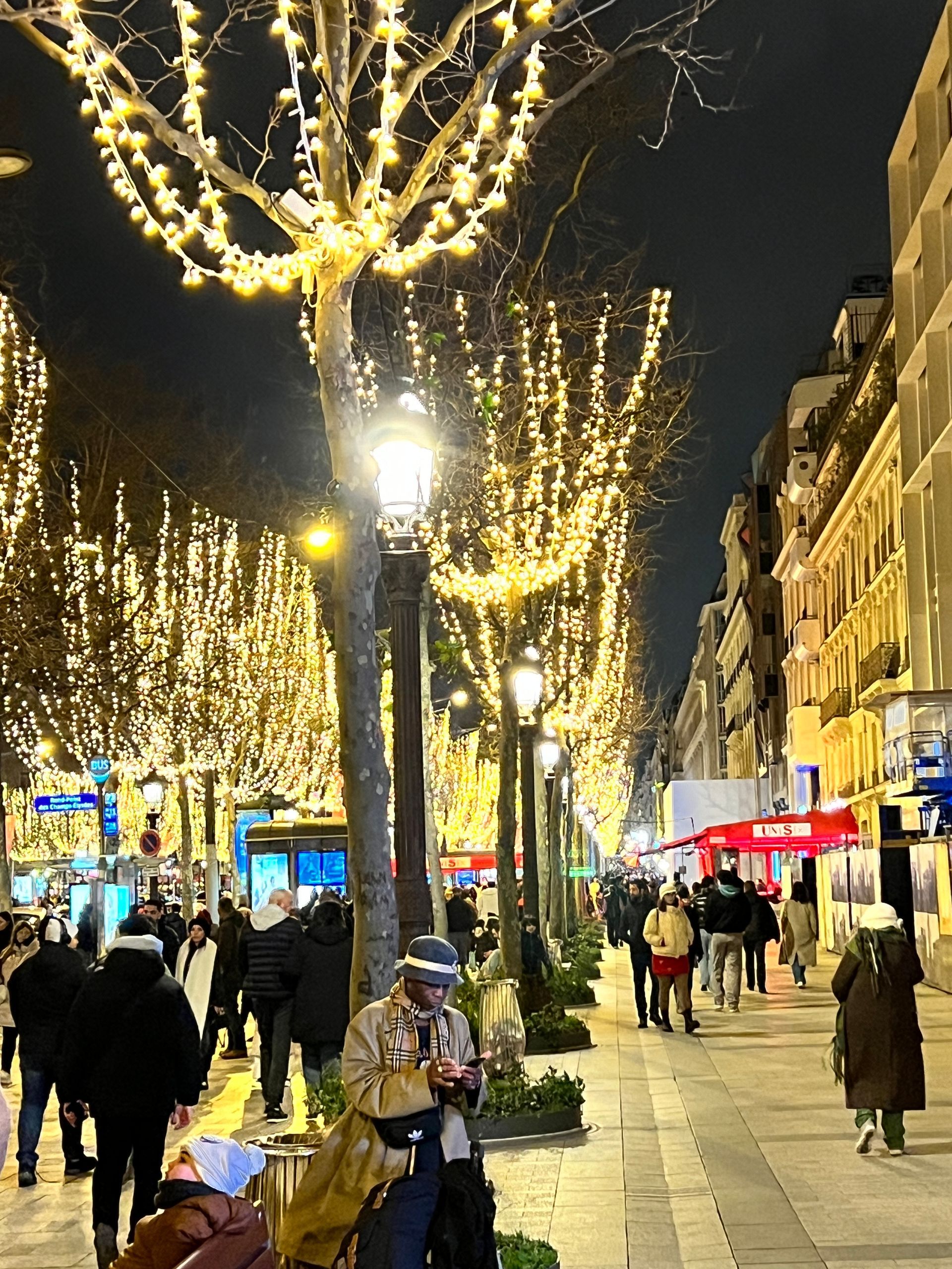 Street lined with trees adorned with gold lights. People walk on a sidewalk in front of buildings at night.