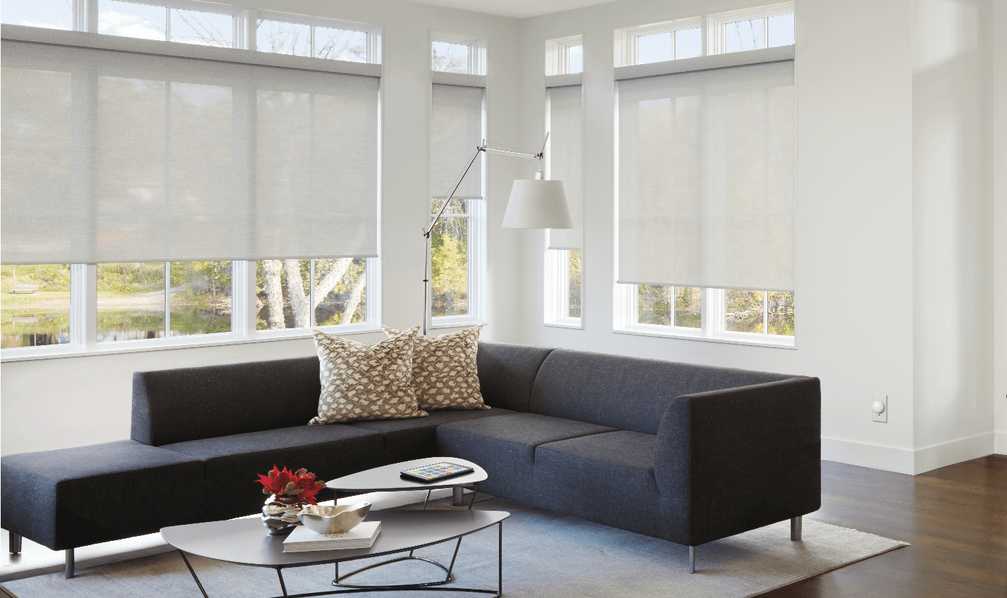 Living Room Windows With Roller Shades — Los Angeles, CA — Sylvans and Phillips