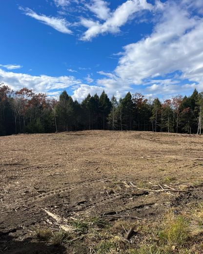 A field with trees in the background and a blue sky with clouds