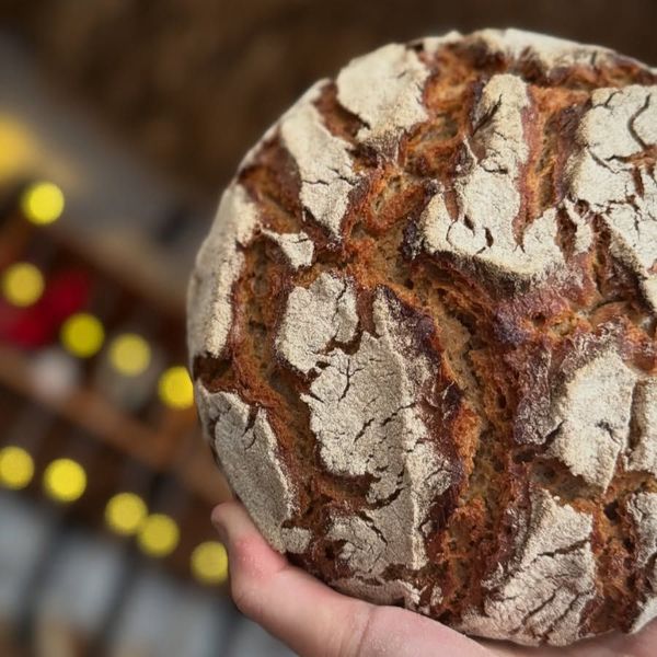 Mano che tiene una pagnotta rotonda di pane rustico dalla crosta croccante, con della farina bianca screpolata in superficie.