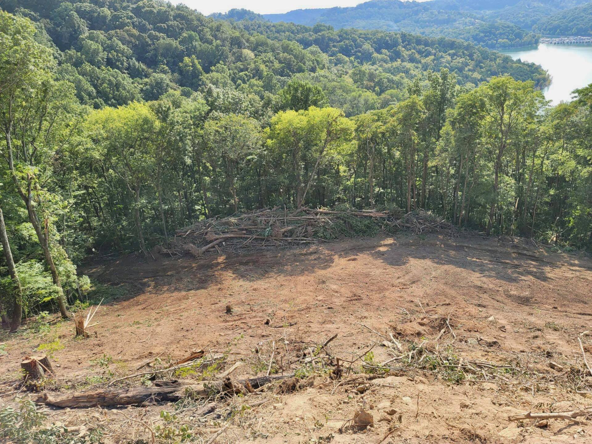 land clearing in middle tennessee