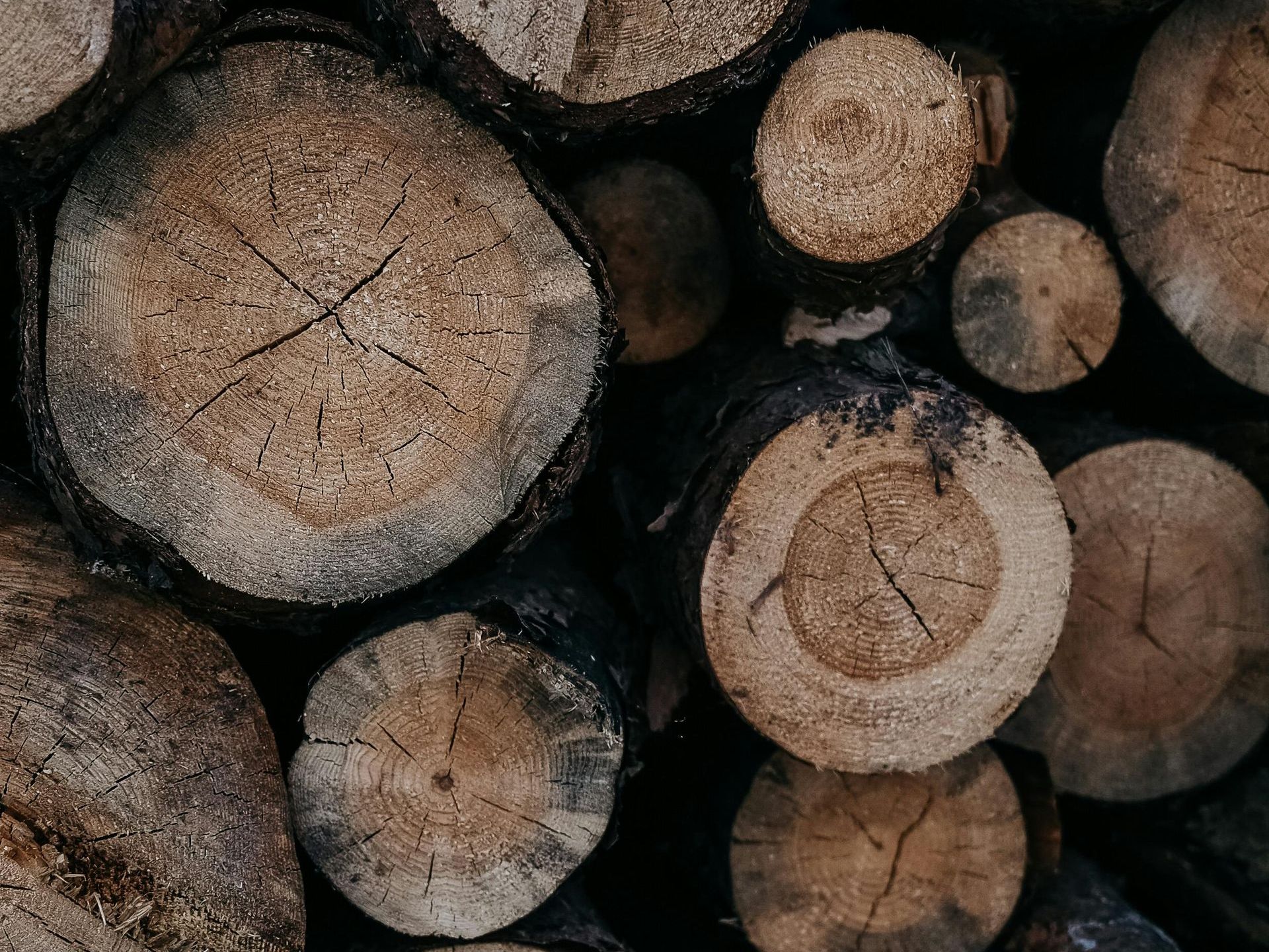 A pile of logs stacked on top of each other.