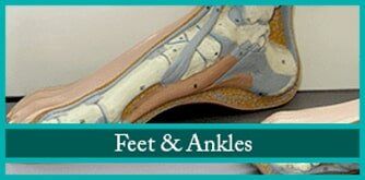 Illustration of Feet & Ankle — Philadelphia, PA — The Foot & Ankle Center of Philadelphia