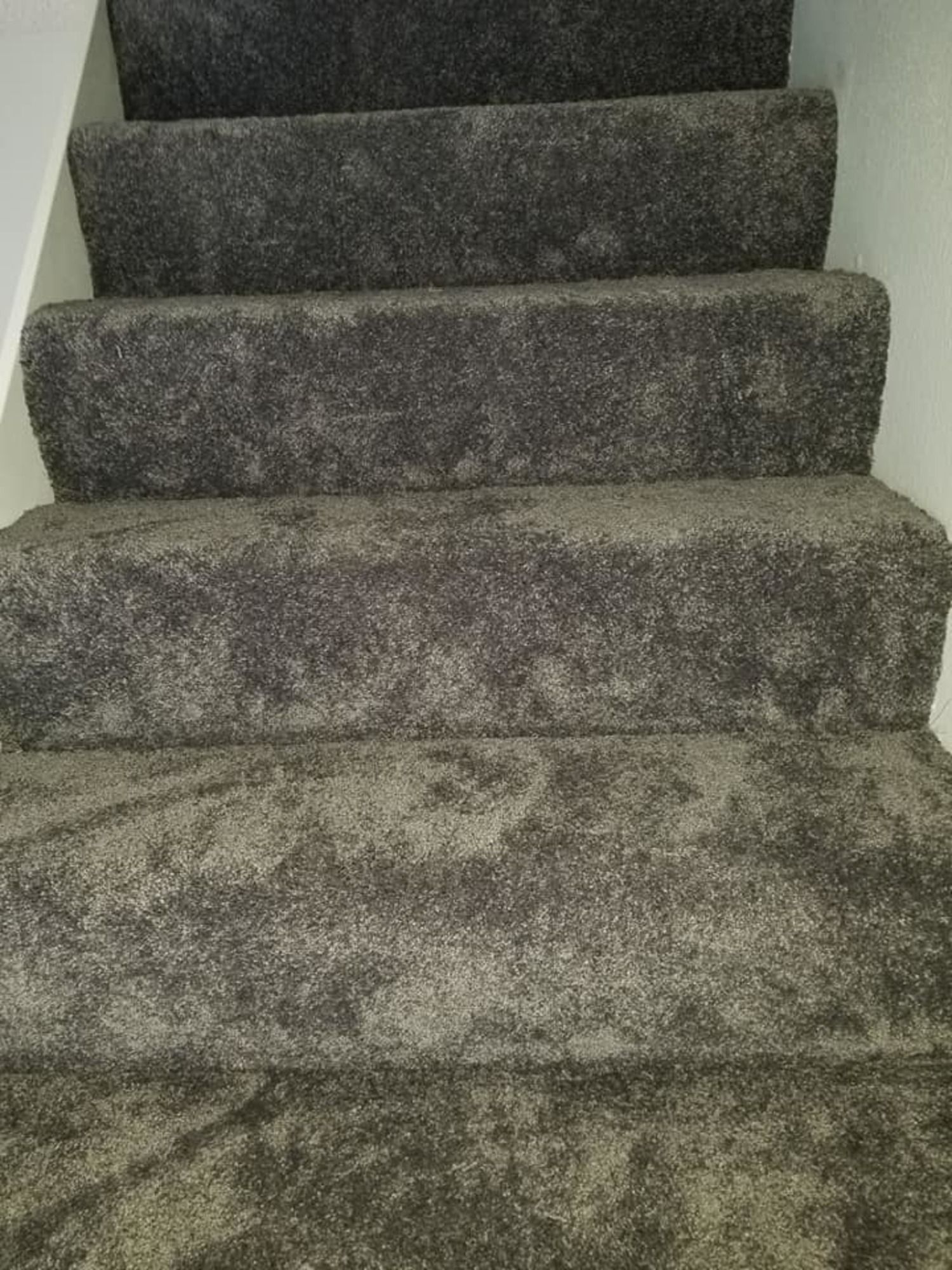 A close up of a set of stairs with a carpet on them.