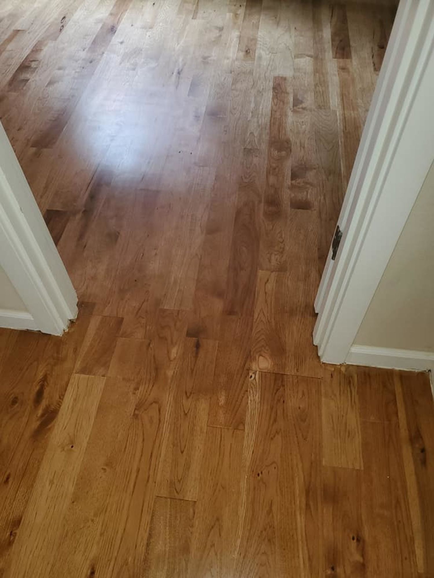 A wooden floor is between two doors in a room.