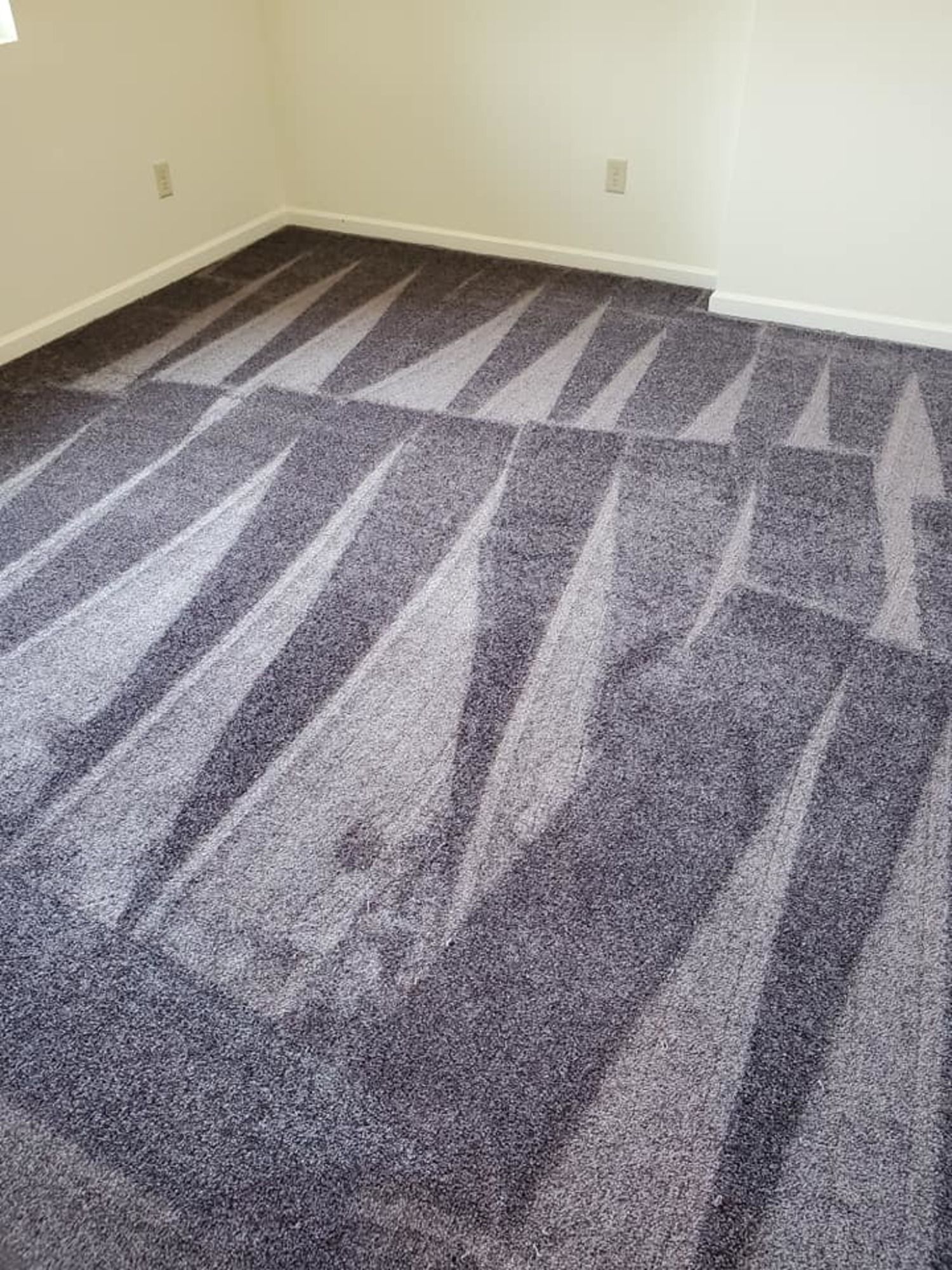 A bedroom with a gray carpet and white walls.