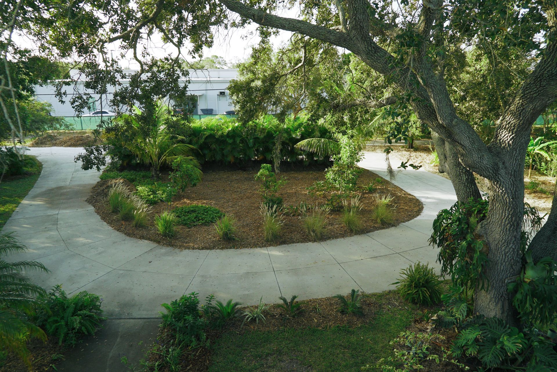 Bring Back Eden transformed this Bradenton home into a suburban food forest.