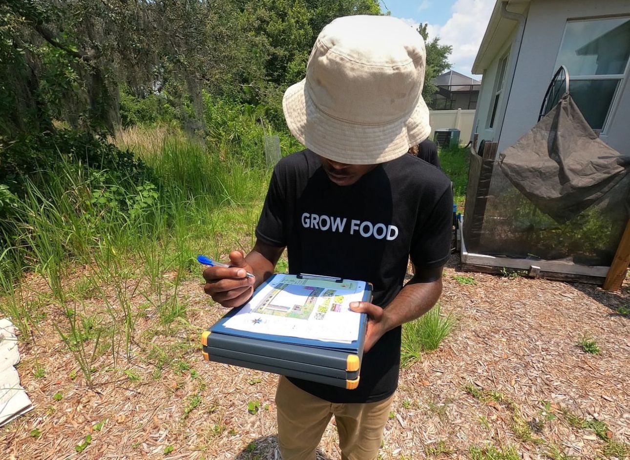 Sarasota food forest, Bradenton food forest, Tampa Food Forest, St Pete Food Forest, Florida Food Forest, grow food, Orlando Food Forest, Backyard food forest, healthy food alternatives.