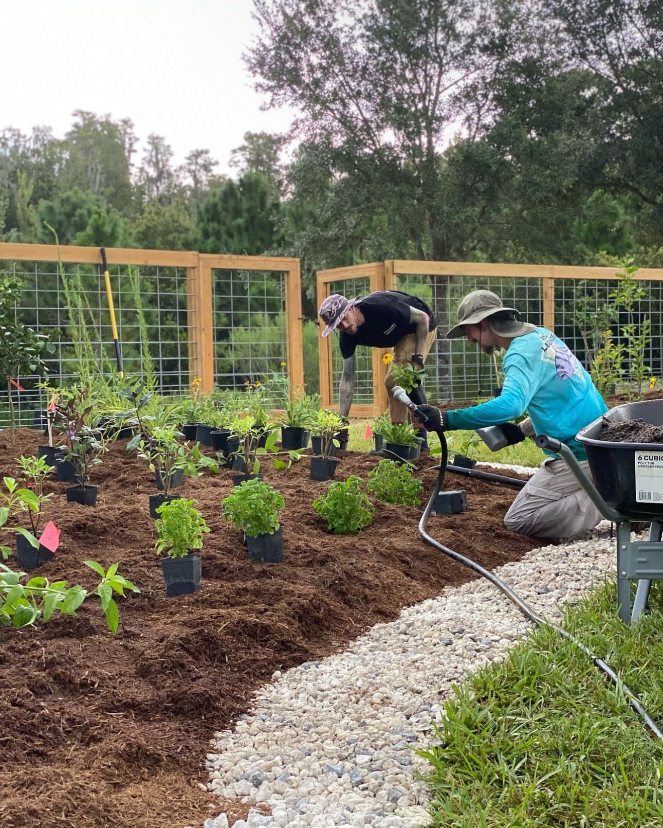 Florida can be a major hub for food and health with the cultivation of food forests.