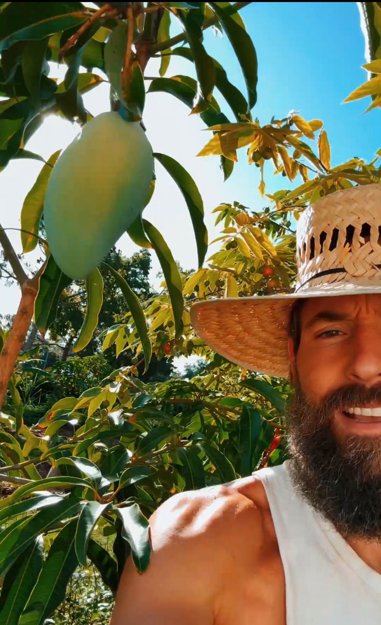 Matthew Nadu of Bring Back Eden is growing mangoes in Florida Food Forests and homes.