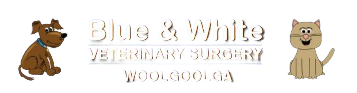 Vet in Woolgoolga Vet in Woolgoolga