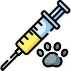 Syringe Icon