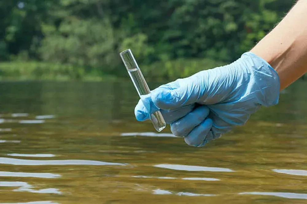 A person is holding a swab that says mold bactera on it
