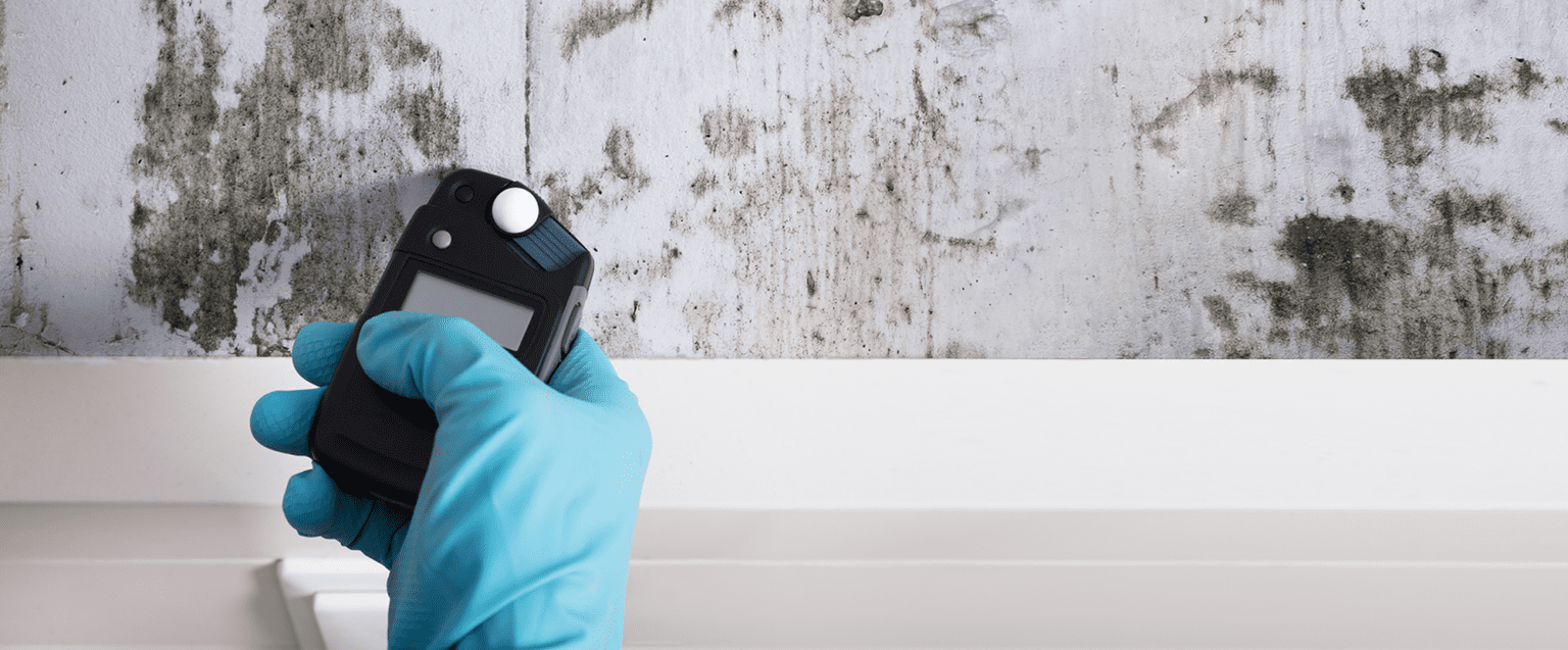 A person in a protective suit is spraying mold on a wall.