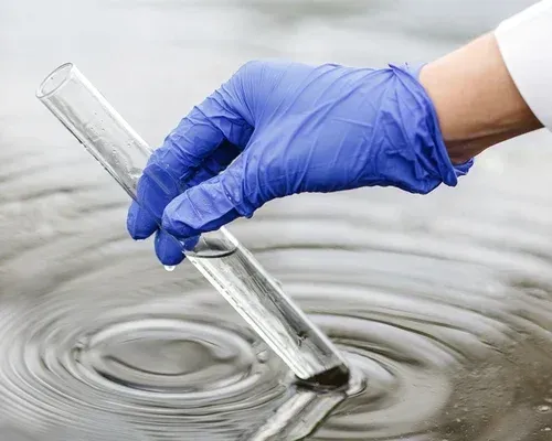 A person is holding a swab that says mold bactera on it