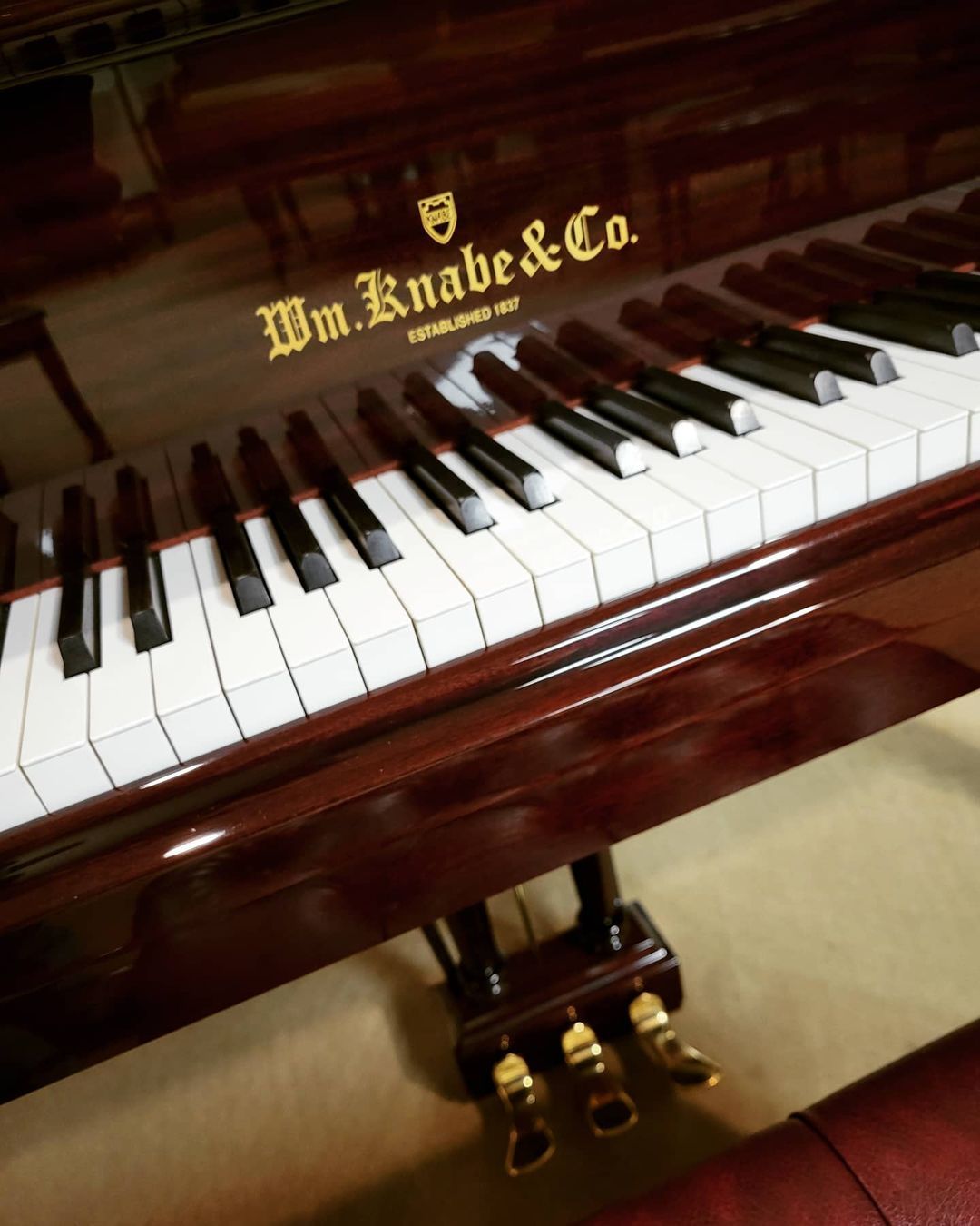 The Inside Of A Grand Piano — Tully, NY — Tritone Pianos