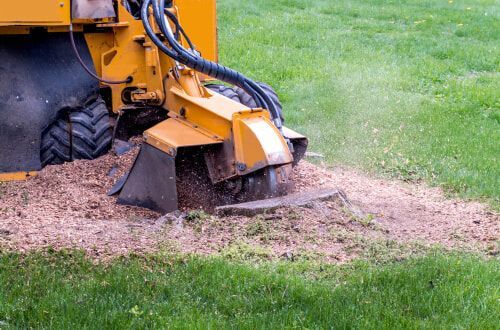 Yellow stump grinder grinding a tree stump in a grassy yard, creating wood chips.