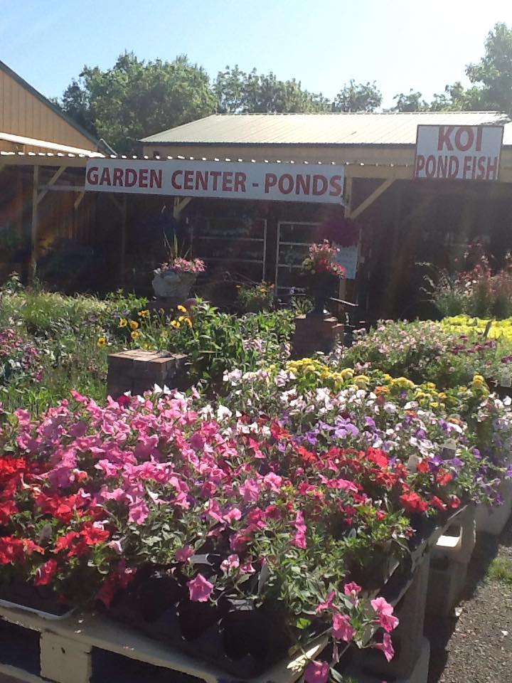 Flowers — Outside Garden in Breckenridge Ln, Louisville, KY 40218