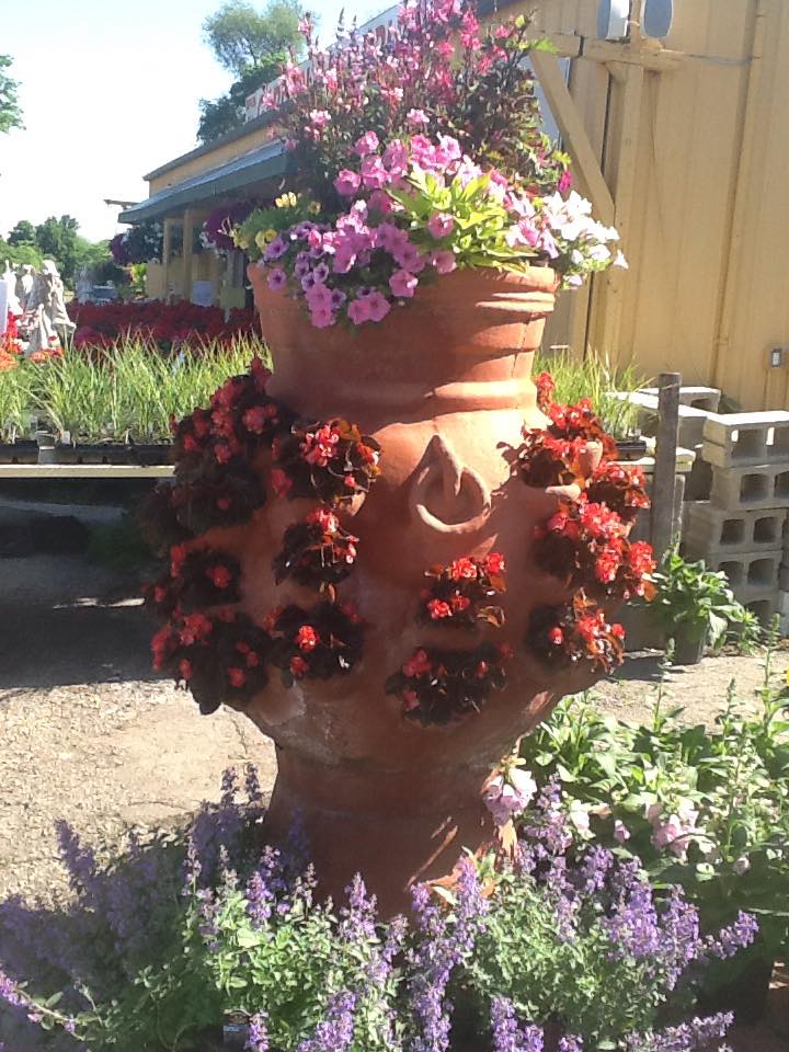 Flower Vase — Pot with Flowers in Ln, Louisville, KY