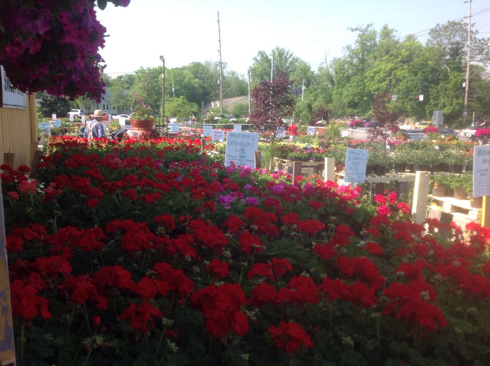 Garden Gate — Green Environment in Ln, Louisville, KY