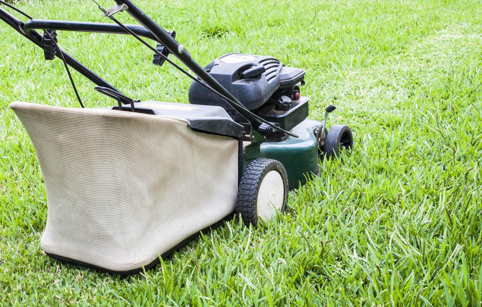 Lawnmower On Green Grass With A Full Collection Bag — Northern Rivers Acreage Mowing in Pimlico, NSW