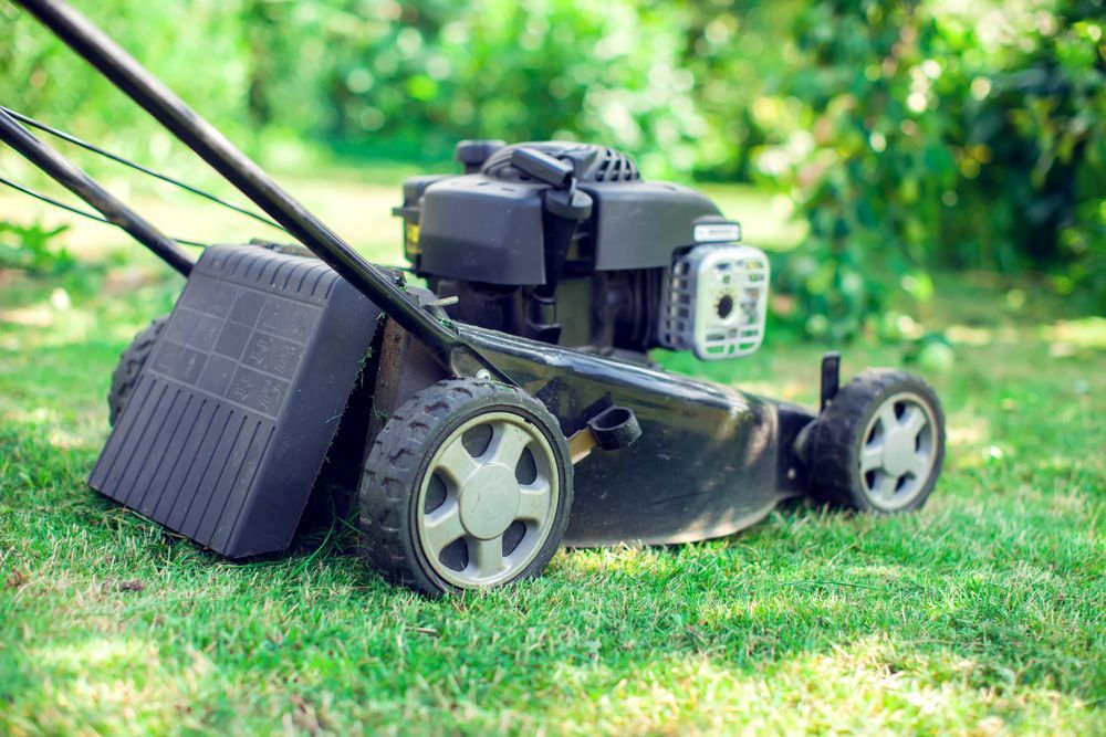 Lawnmower On Green Grass, Ready To Cut — Northern Rivers Acreage Mowing in Pimlico, NSW