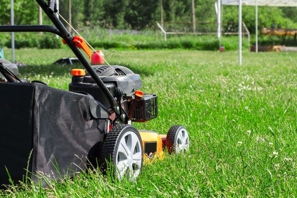 Lawnmower Cutting Tall Green Grass In A Field — Northern Rivers Acreage Mowing in Pimlico, NSW