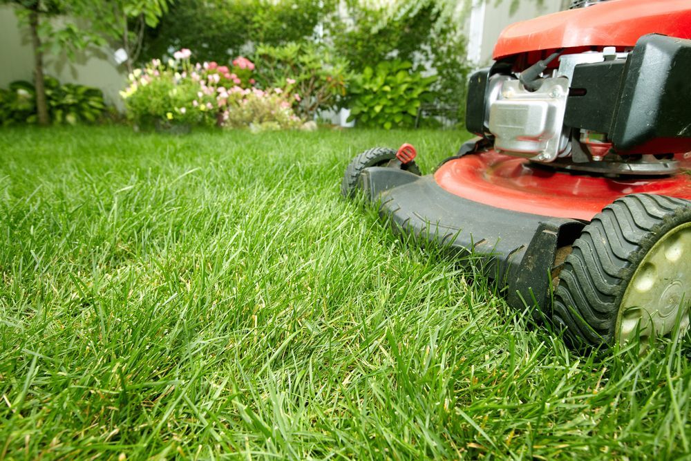 Red Lawnmower Cutting Bright Green Grass In A Yard With Flowers And Shrubs — Northern Rivers Acreage Mowing in Lismore, NSW