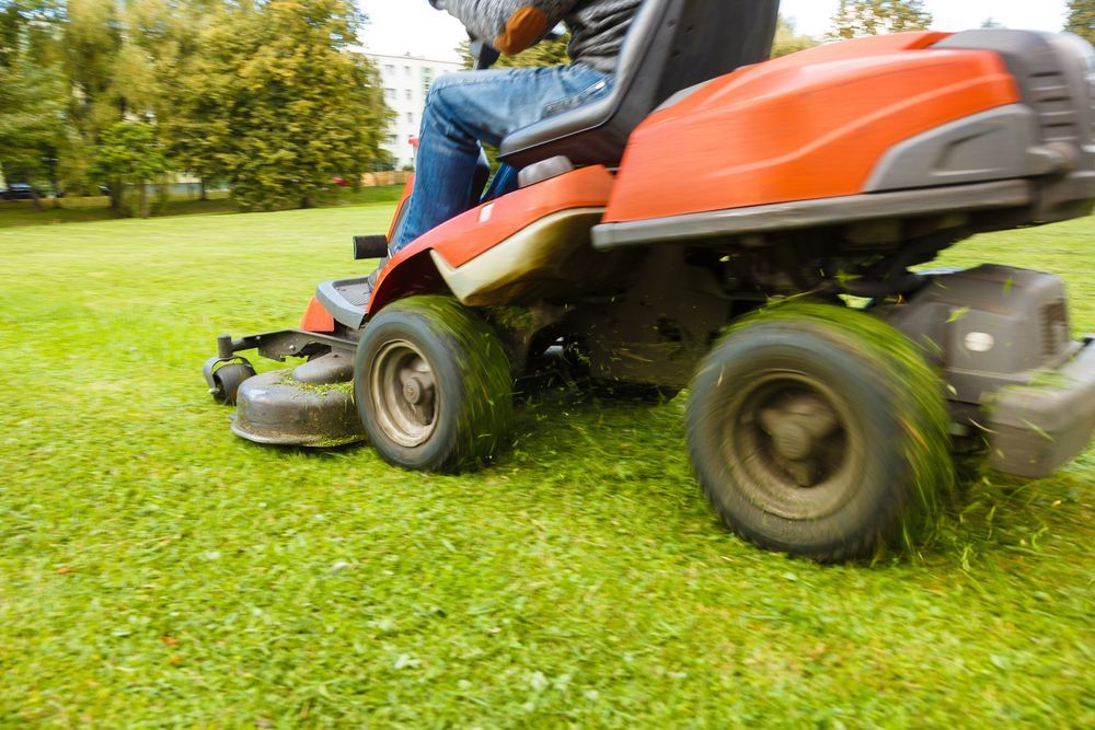 Riding Lawn Mower Cutting Grass In A Grassy Field — Northern Rivers Acreage Mowing in Pimlico, NSW