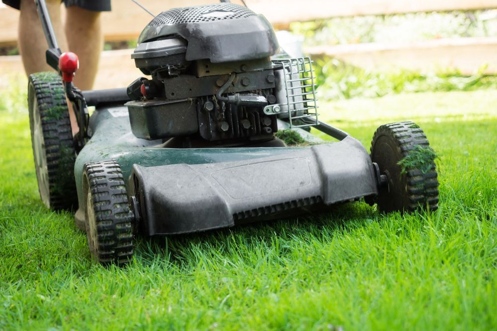 Lawnmower Cutting Green Grass In A Yard On A Sunny Day — Northern Rivers Acreage Mowing in Byron Bay, NSW