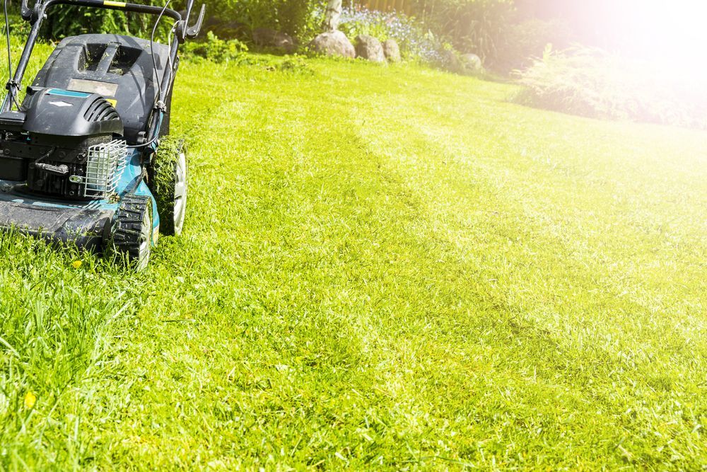 Lawn Mower Cutting Grass In A Sunny Yard — Northern Rivers Acreage Mowing in Alstonville, NSW