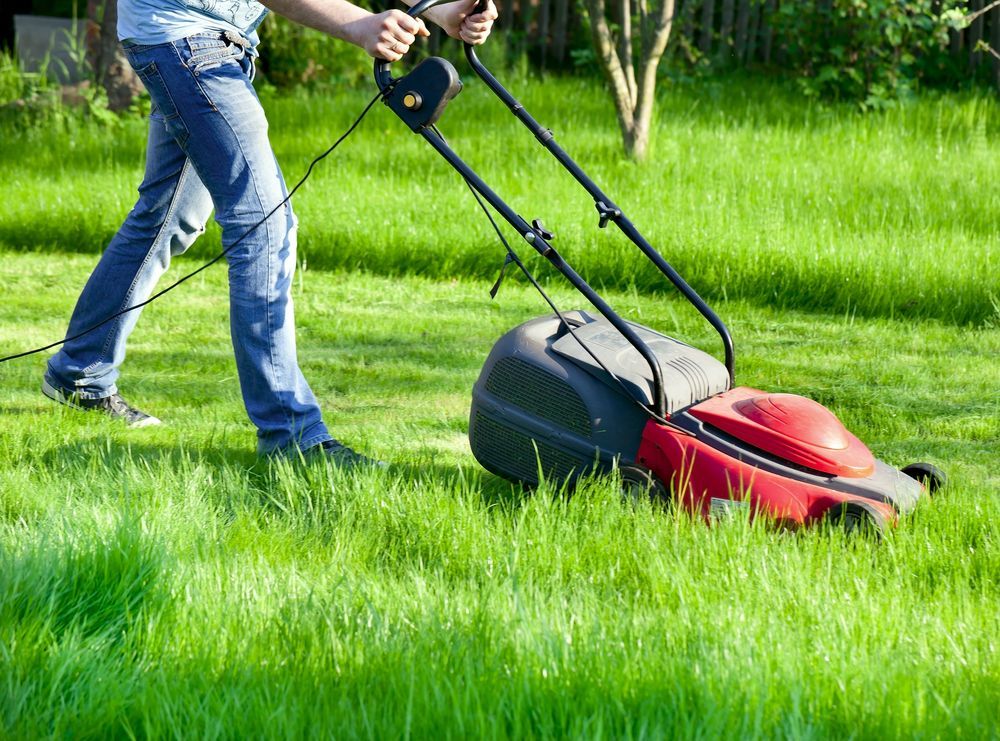 Person Mowing A Grassy Lawn With A Red And Black Lawnmower — Northern Rivers Acreage Mowing in Pimlico, NSW
