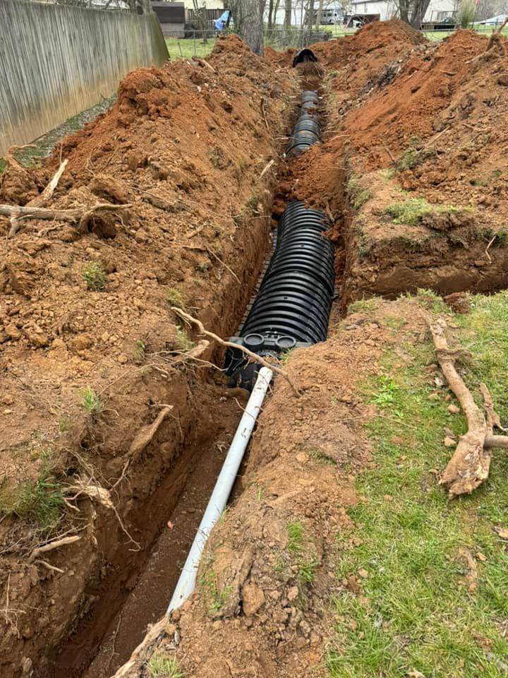 Brown soil with visible roots and a small hole.