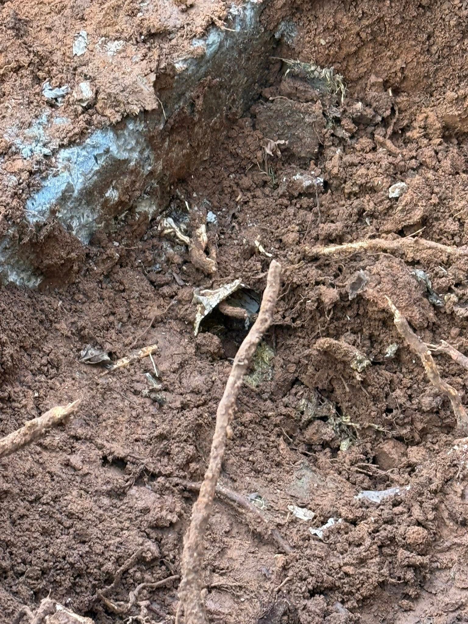 Close-up of brown soil with a hole, potentially an animal burrow, and light-colored patches.