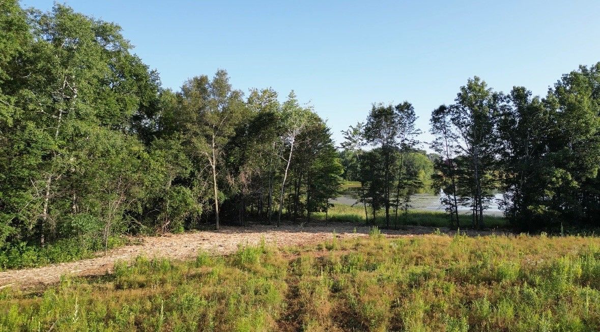 Lake view after NWI forestry mulching service.