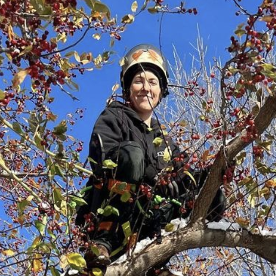 tree removal climber nwi